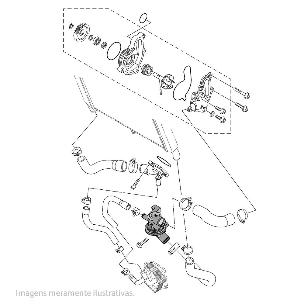 892793 - miniatura 3